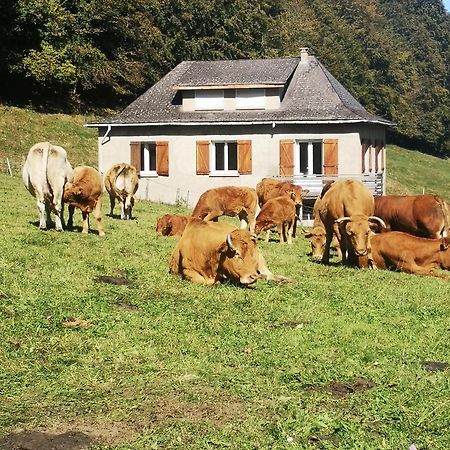 Tourmalet Villa Campan Exteriör bild